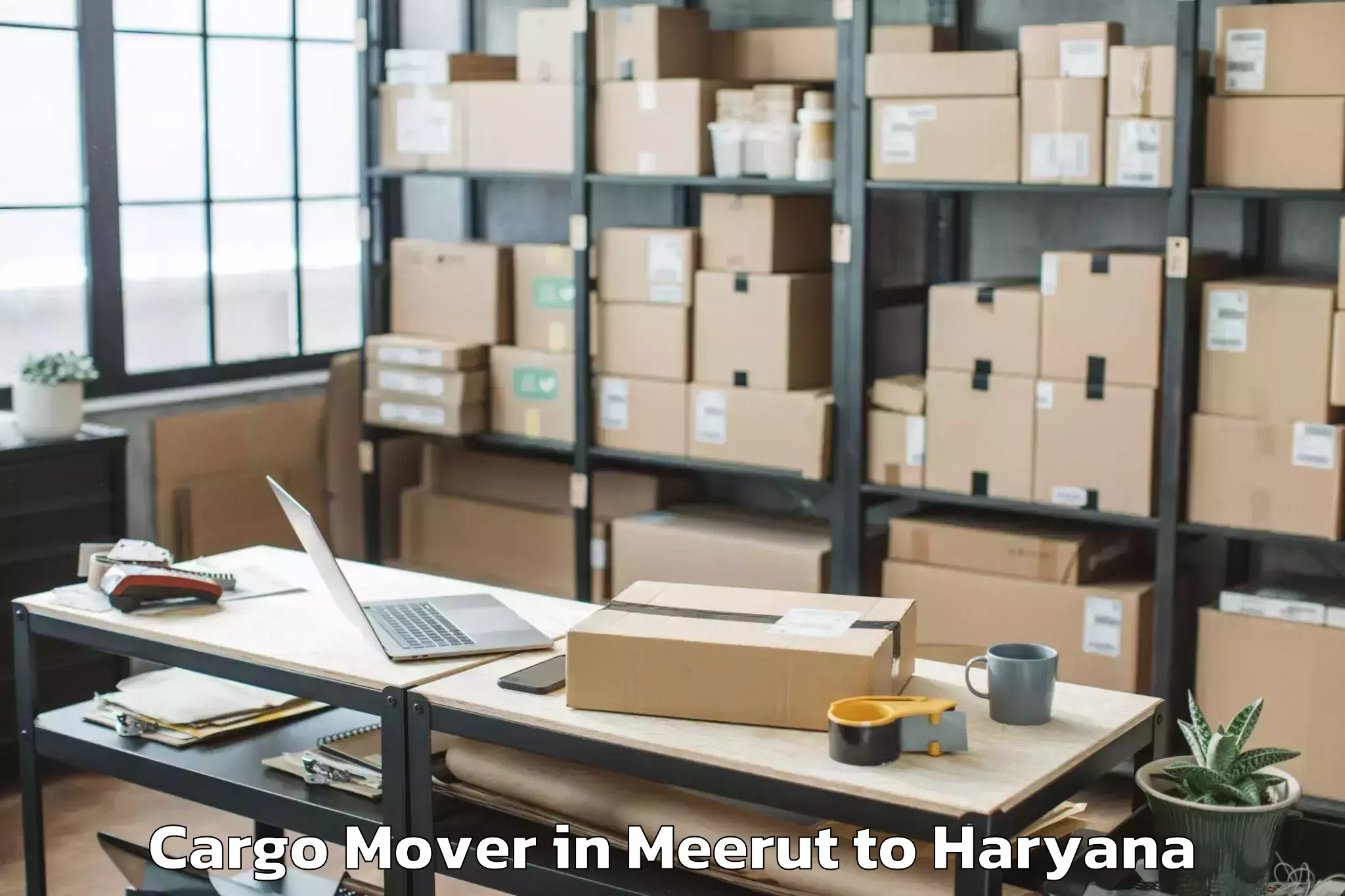 Hassle-Free Meerut to Mahendragarh Cargo Mover